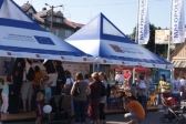 Przejdź do: Podhalański Piknik Europejski